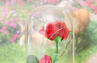 L'enchantée, 6 people, 15 min Disneyland Paris, BBQ - Foto 13