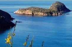 Villa Moira - Foto 30