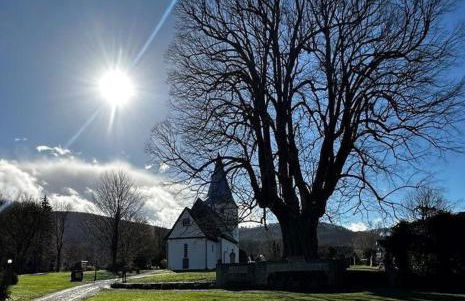 Ferienwohnung Amselnest - Foto 16