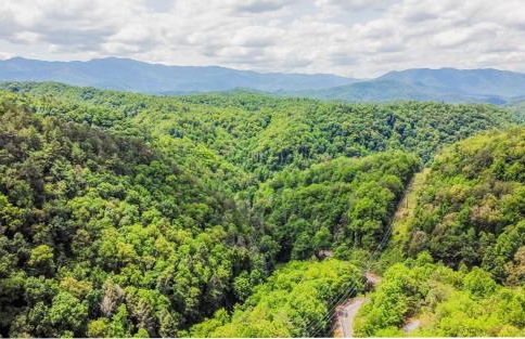 Rockytop Hideaway - Foto 42