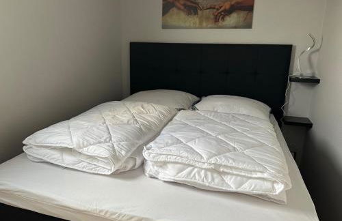 Hausboot La Mare Seeblick - Foto 28