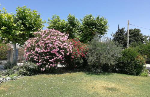 Appartements - Le Mas des Oliviers - Foto 36