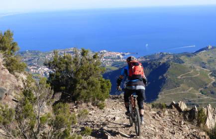 Maison du Cloitre d'Elne - Foto 35