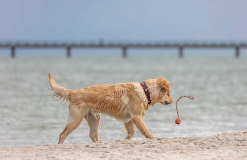 Piratensuite am Ostseestrand - Foto 17