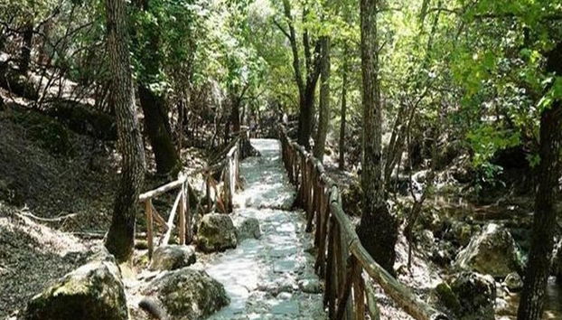 El Valle de las Mariposas y la isla de Halki desde el norte de Rodas - Excursión de día completo - Foto 5