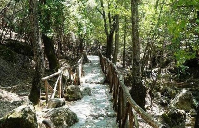 El Valle de las Mariposas y la isla de Halki desde el norte de Rodas - Excursión de día completo - Foto 5