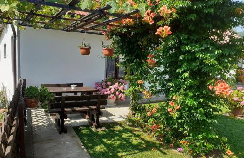 Apartment Petra i Nikola - Foto 6