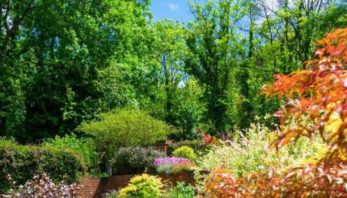 Rural Pet Friendly Apartment Near Salisbury - Foto 4