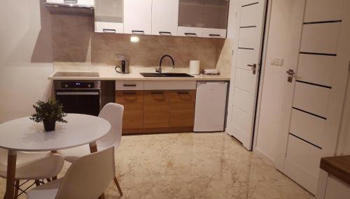 Apartament Źródełko - Foto 3