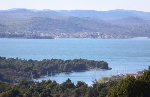 Dalmatian - Photo 50