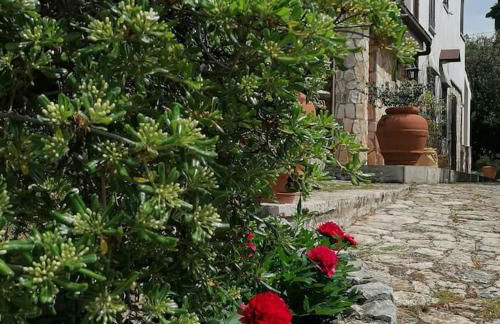 Casa Marisa Villa Vacanza - Foto 52