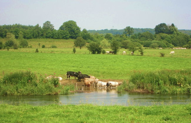 Cozy Mobile Home in Vresse-sur-semois With Terrace - Foto 24
