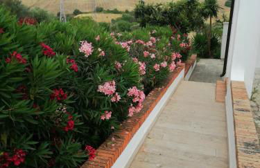 All'ombra del pino ALLOGGIO TURISTICO - Foto 19