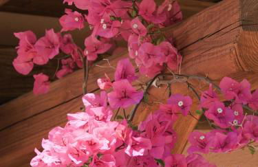 Villaggio Turchese - Photo 11