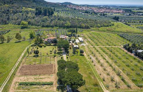 Agriturismo Al posto giusto - Photo 14