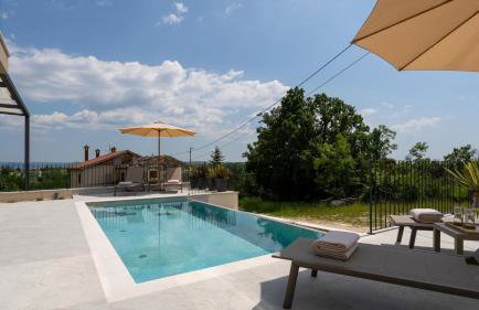 Modern villa Venta with jacuzzi and pool in Buje - Foto 16
