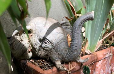 La Casa Del Racou - Photo 53