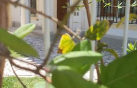 Villa Salitre, urbanización Vera Coast - Foto 37