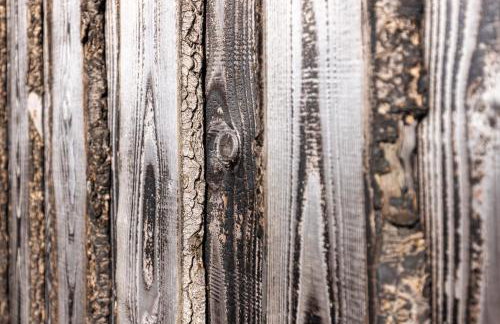 The Pig Arc - Foto 69