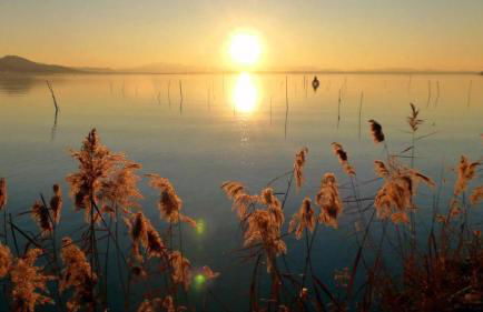 Sogni sul Lago - Passignano sul Trasimeno - Foto 17