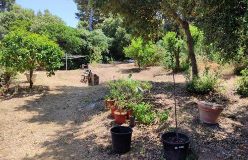 Maison presqu'île de Giens - Foto 28