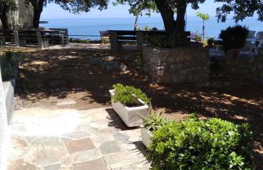 Dialiskari #2 - Foto 31