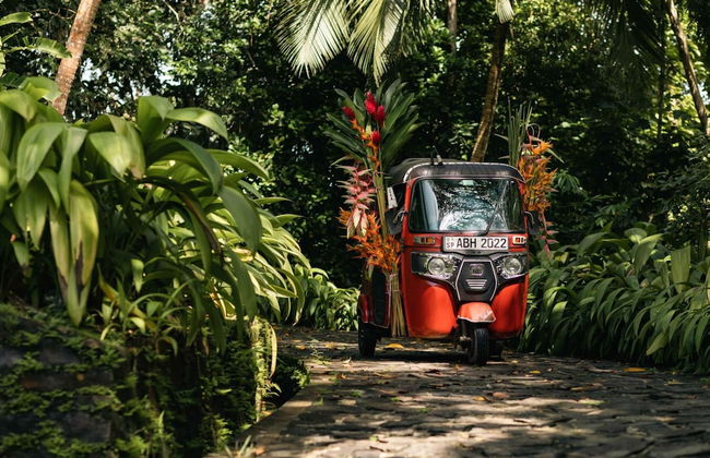 Luxurious 07 Bedroom Hilltop Villa With Private Gym - Photo 55