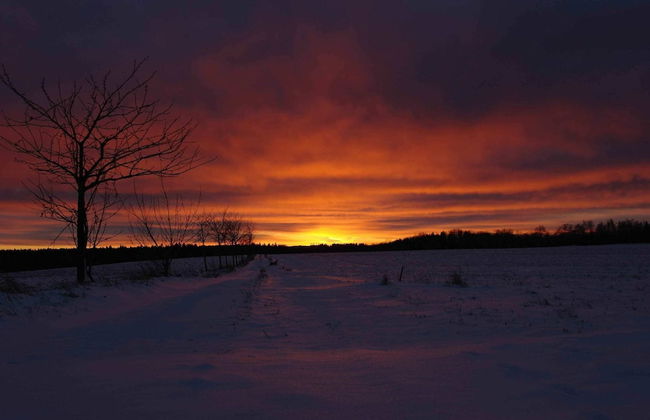 Hill View Holiday Home in Dankerode near Lake & Hiking - Foto 13