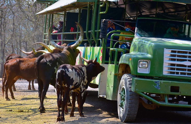 Excursión al Bioparque Estrella - Photo 7