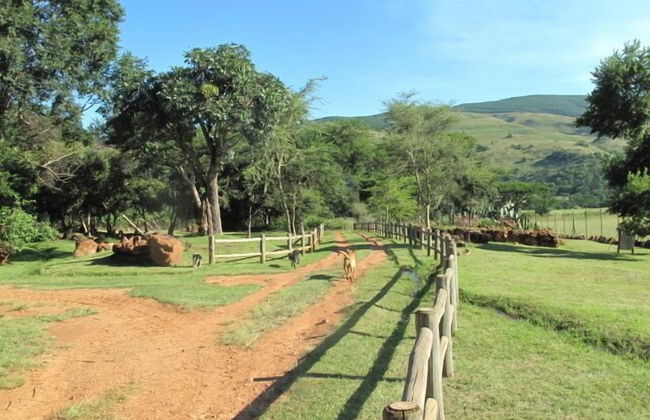 Caracal Lodge - Foto 32