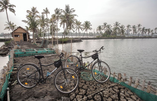 Baymaas Lakehouse - Photo 31