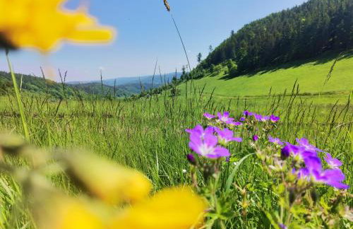 Sovanova Domki w Górach Sowich z Tarasem i Widokiem - Foto 43