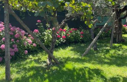 Verde House 2 - Foto 36