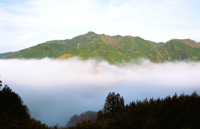 YUSUKAWA GUESTHOUSE COCCORON - Foto 21