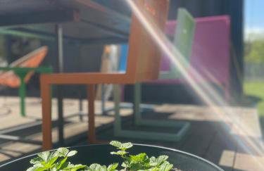 kontener nad rzeką - Foto 9