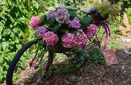 Tinyhaus Wolkenlos Familie Hamdorf - Photo 59