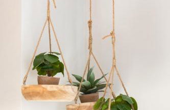 El Alma de las Ramblas - Photo 20