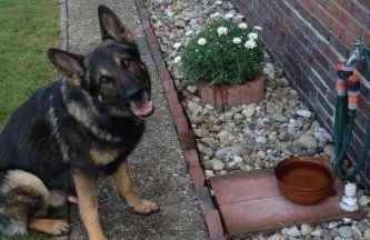 Apartment Huus Thimo by Interhome - Foto 15