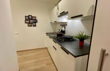 Residence Neverin City Center with Garage near Piazza Unità & Train Station - Foto 57