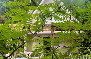 Harmony House - Photo 12