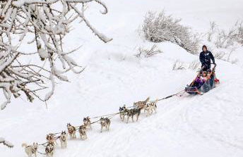 Appartement les orres 1800 pied des pistes - Foto 20