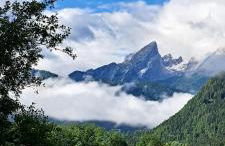 Fewo Wald & Wiese - Foto 14