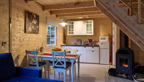 Domki na Kaszubach u Madzi - Foto 4, minibar