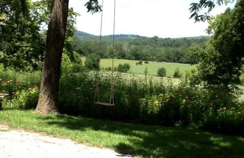 Secluded Country Cabin Rental with Beautiful Garden Space near Fayetteville, Arkansas - Foto 11