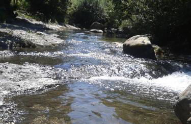 Casa Cuevas - Foto 20