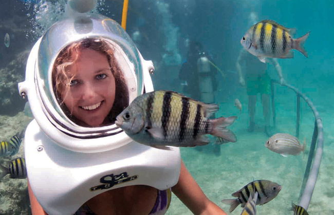 De Palm Island + Sea Trek - Foto 1