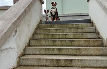 Villa Lebensgrund - Foto 9