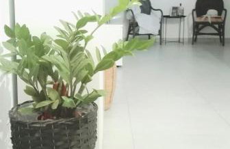 New Sea Escape Boutique Apt-Agii Aposto li beach - Foto 32