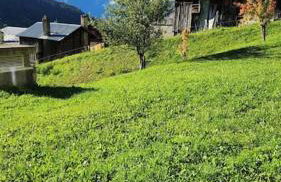 Charmant T2 au cœur du village - Foto 2