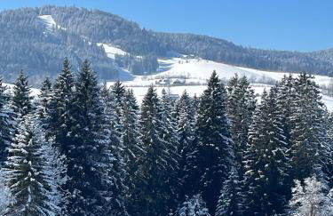 Ferienwohnung Dachtler - Foto 21